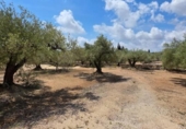 Detached villa with land for sale on España, l'Ampolla, ref: TR417547 photo
