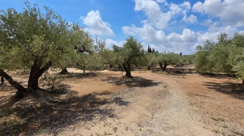 Tarragona - l'Ampolla - 35000m2