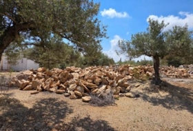 l'Ampolla 35000&nbsp;m²