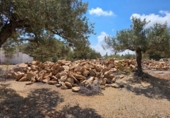 Detached villa with land for sale on España, l'Ampolla, ref: TR417547 photo