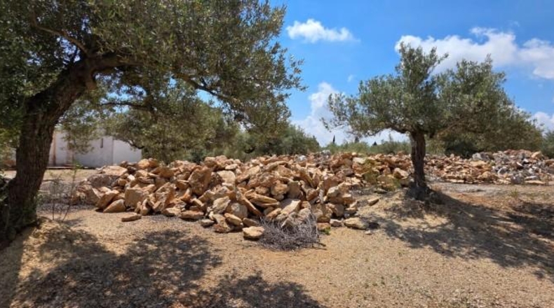 Tarragona - l'Ampolla - 35000m2