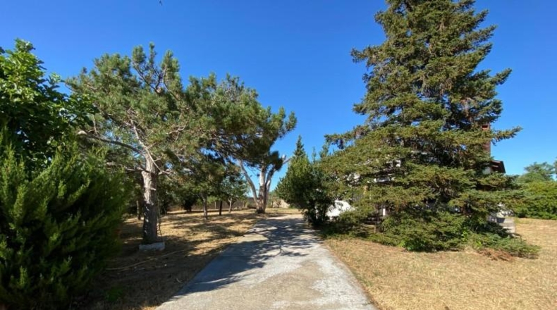Zaragoza - Gallur - 1000m2