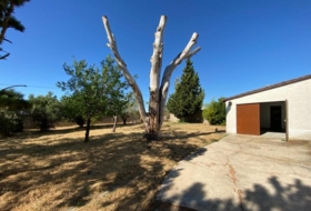 Gallur 1000&nbsp;m²