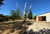 Detached villa with land for sale on España, Gallur, ref: TR417548 photo