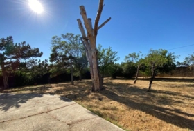 Gallur 1000&nbsp;m²