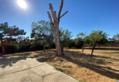 Detached villa with land for sale on España, Gallur, ref: TR417548 photo