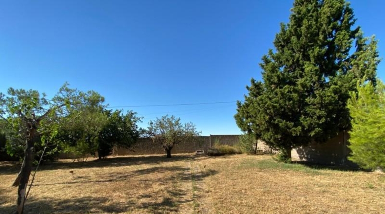 Zaragoza - Gallur - 1000m2