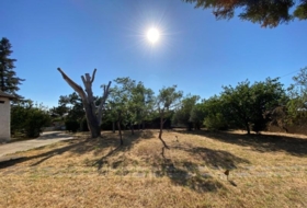Gallur 1000&nbsp;m²