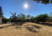 Detached villa with land for sale on España, Gallur, ref: TR417548 photo