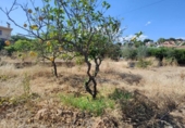 Casa con terreno en venta en la España, Cunit, ref: TR417551 foto