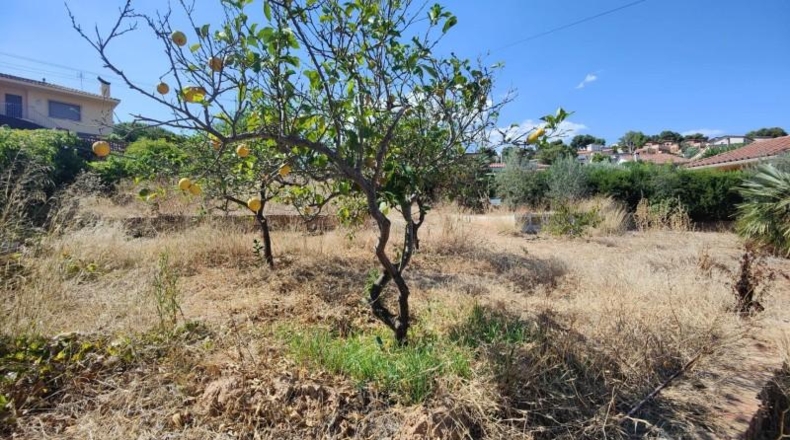Tarragona - Cunit - 1274m2