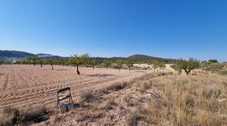 Murcia - Abanilla - 120500m2