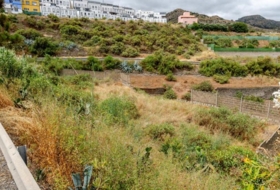 Las Palmas de Gran Canaria 5637&nbsp;m²