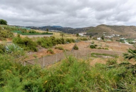 Las Palmas de Gran Canaria 5637&nbsp;m²