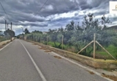 Land with storage building for sale on España, Alicante, ref: TR417561 photo