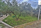 Land with storage building for sale on España, Alicante, ref: TR417561 photo