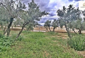 Alicante 3278&nbsp;m²