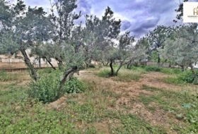Alicante 3278&nbsp;m²