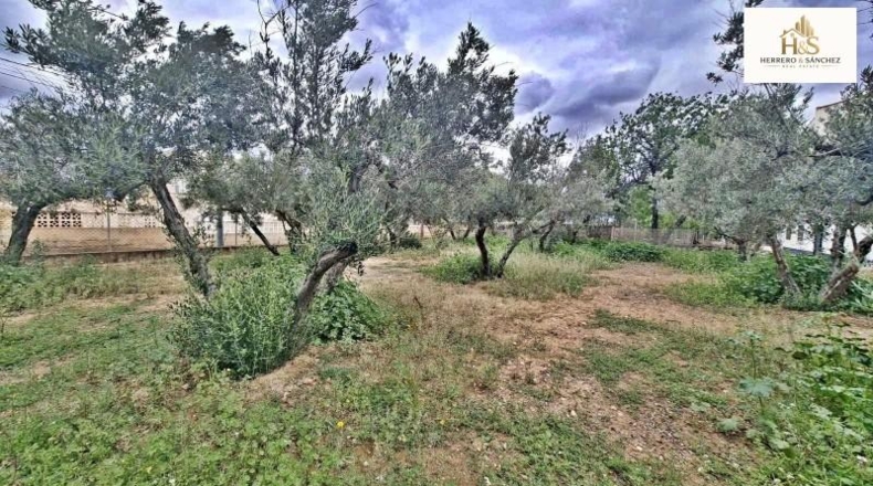 Alicante - Аликанте - 3278m2
