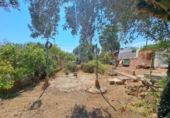 Chalet independiente con terreno en venta en la España, Alberic, ref: TR417570 foto