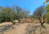 Chalet independiente con terreno en venta en la España, Alberic, ref: TR417570 foto