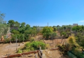 Chalet independiente con terreno en venta en la España, Alberic, ref: TR417570 foto