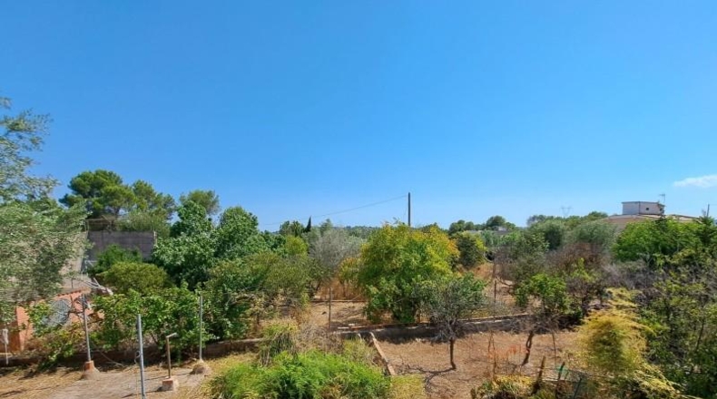 Valencia - Alberic - 2039m2