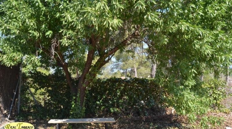 Tarragona - Cabra del Camp - 809m2
