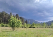 Non-developable land for sale on España, Riópar, ref: TR417573 photo
