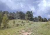 Non-developable land for sale on España, Riópar, ref: TR417573 photo