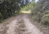 Non-developable land for sale on España, Riópar, ref: TR417573 photo