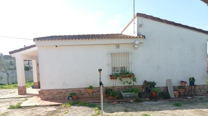 Cádiz - Chiclana de la Frontera - 796m2