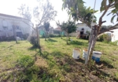 Detached villa with land for sale on España, Chiclana de la Frontera, ref: TR389290 photo