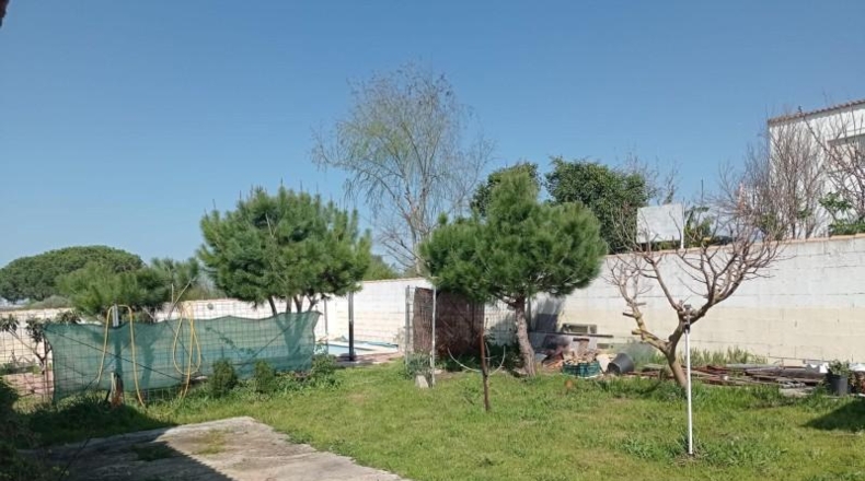 Cádiz - Chiclana de la Frontera - 796m2