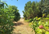 Casa de pueblo en venta en la España, Madrid, ref: TR417582 foto