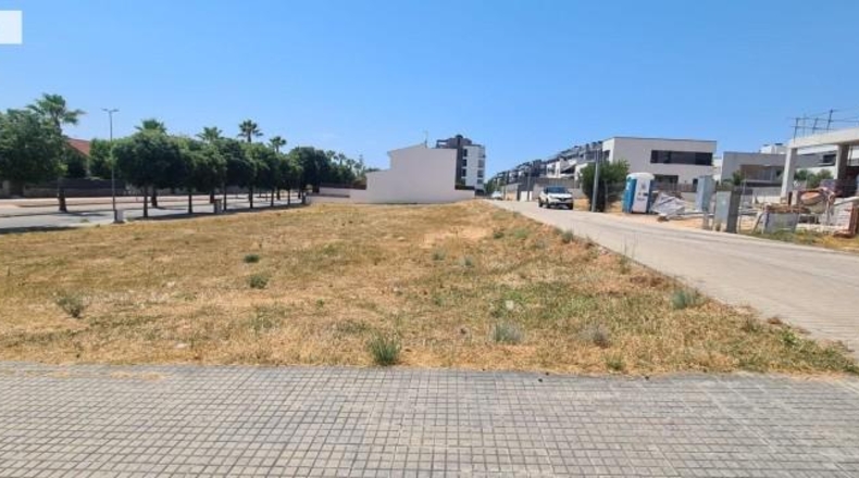 Comunidad de Madrid - Madrid - 300m2