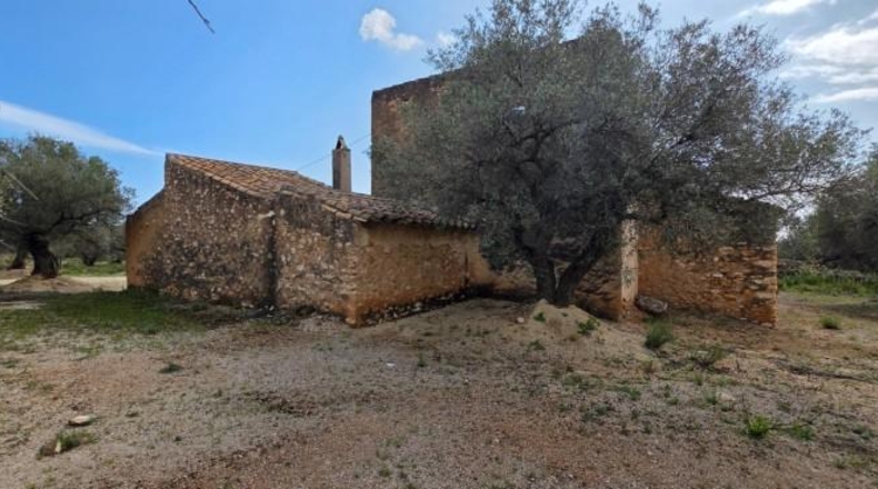 Tarragona - l'Ampolla - 18237m2