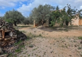 Xalet independent amb terreny en venda a la España, l'Ampolla, ref.: TR417588 foto