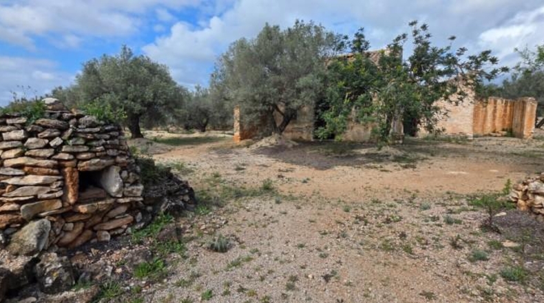 Tarragona - l'Ampolla - 18237m2