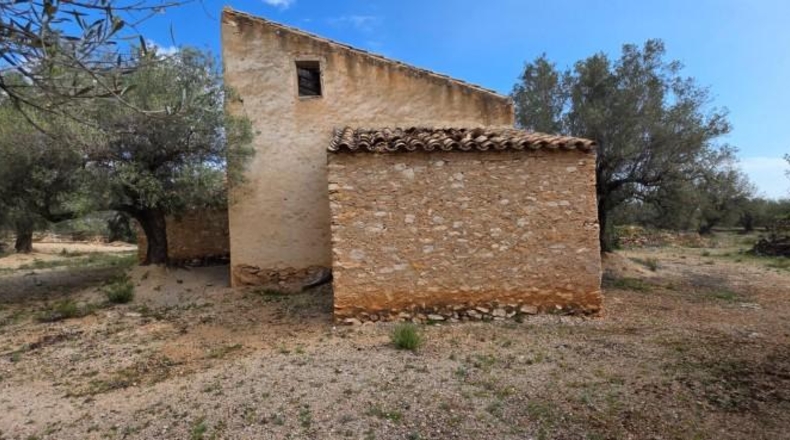 Tarragona - l'Ampolla - 18237m2