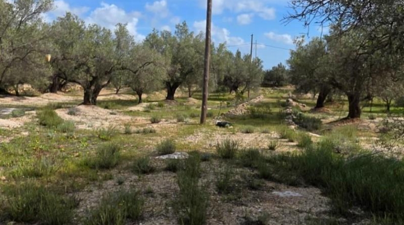 Tarragona - l'Ampolla - 18237m2