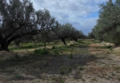 Xalet independent amb terreny en venda a la España, l'Ampolla, ref.: TR417588 foto