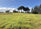 Country house with land for sale on España, Gibraleón, ref: TR169869 photo