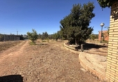 Country house with land for sale on España, Gibraleón, ref: TR169869 photo