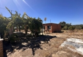 Country house with land for sale on España, Gibraleón, ref: TR169869 photo