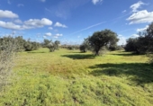 Country house with land for sale on España, Gibraleón, ref: TR169869 photo