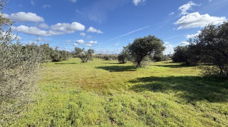 Huelva - Gibraleón - 295m2