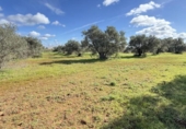 Country house with land for sale on España, Gibraleón, ref: TR169869 photo