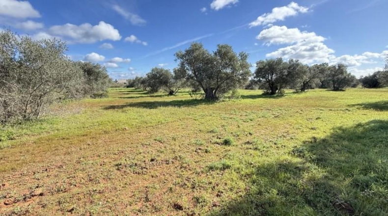 Huelva - Gibraleón - 295m2