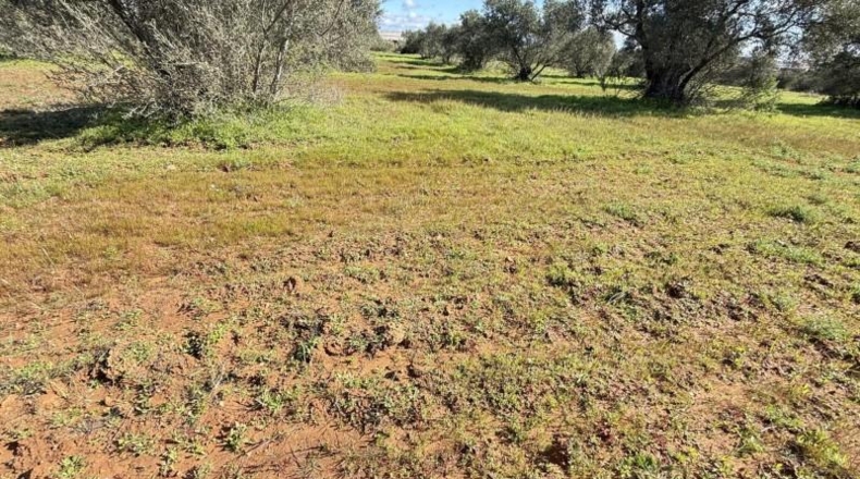 Huelva - Gibraleón - 295m2